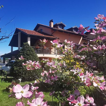 Orto Del Pettirosso Apartman Front Kültér fotó
